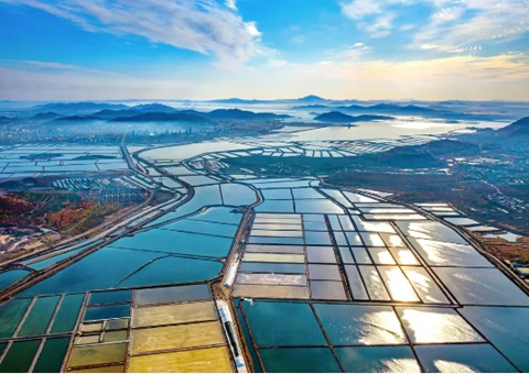 大连市因地造宜推动复州湾生态建复获得“生态+社会+经济”三重效益案例