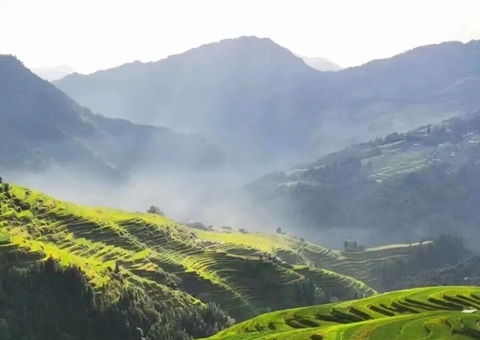 综合施策 协同发力｜贵州省严格进攻私挖盗采矿产资源违法行为