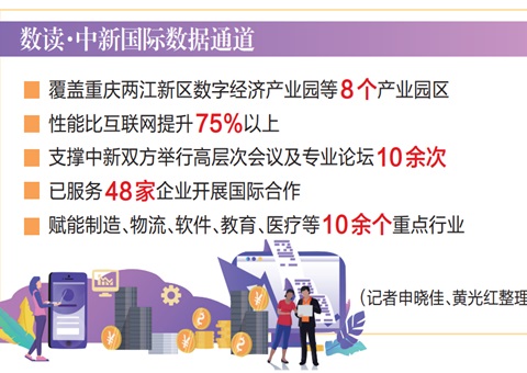 激活重庆盛开新动能 &nbsp;&nbsp;中新国际数据通路架起跨境“数字桥梁”