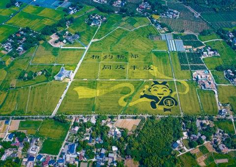 成都颁布耕地；す婊〗10年这样筑牢“天府粮仓”根基