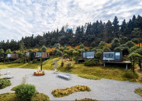 全国典型案例+1！重庆索求“四方共治”实现生态建复与增收共赢