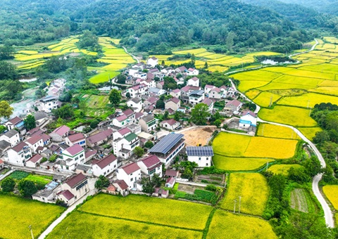 安徽省天然资源厅：130个乡镇耕地；こ删屯蛊 获赔偿激励1.3亿元
