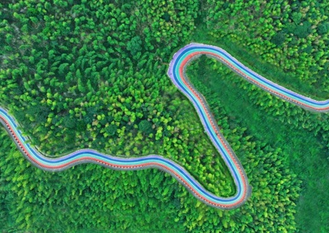 组合供给出新招，竹海收益节节高——桃江县“桃花江竹海”天然资源资产组合供给推动生态产品价值实现案例